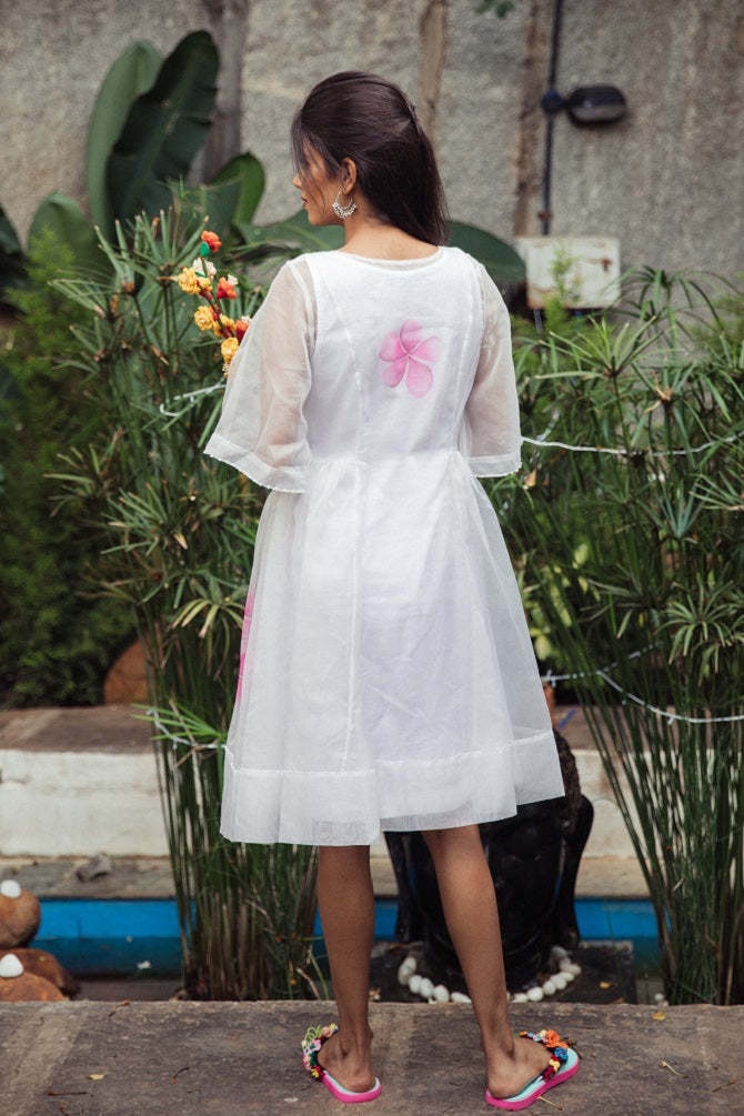 Organza hand painted frock dress